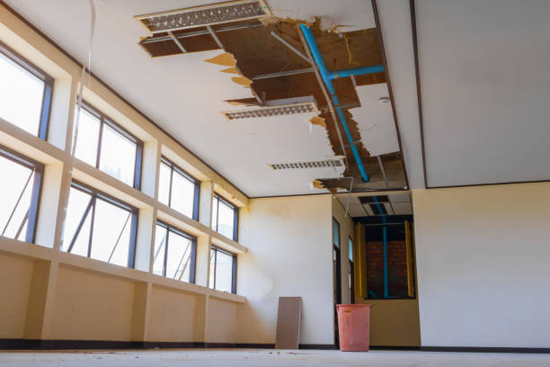 Reliable Rush City, MN Water damage restoration Solutions