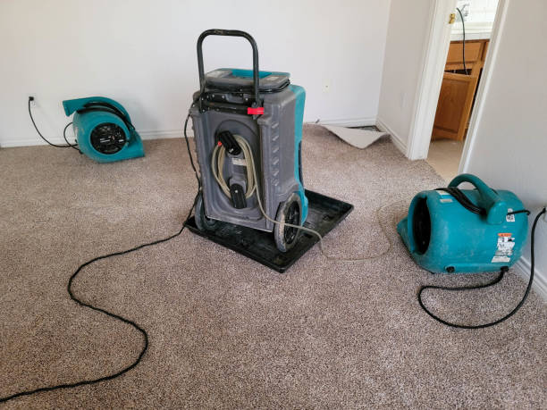Best Local water damage restoration  in Rush City, MN