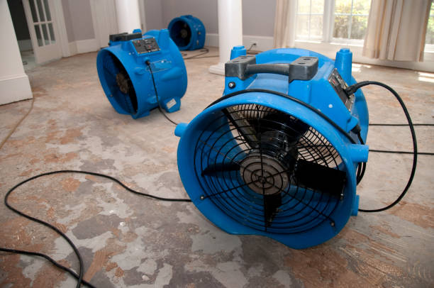  Rush City, MN Water damage restoration Pros