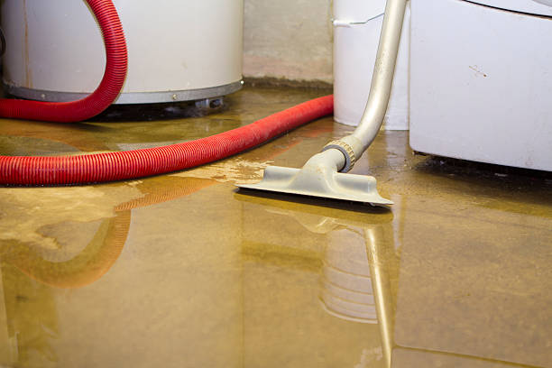 Best Residential water damage restoration  in Rush City, MN