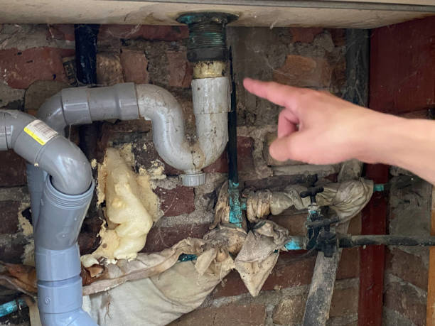Best 24/7 water damage repair  in Rush City, MN